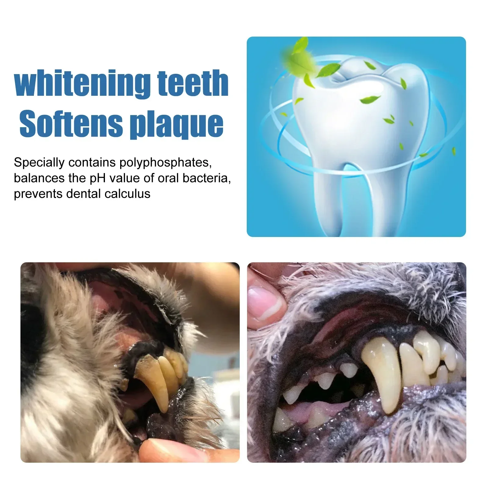 Pet Tartar Remover Dogs Cats T - Teeth Whitening Foam Toothpaste ulasan dan harga