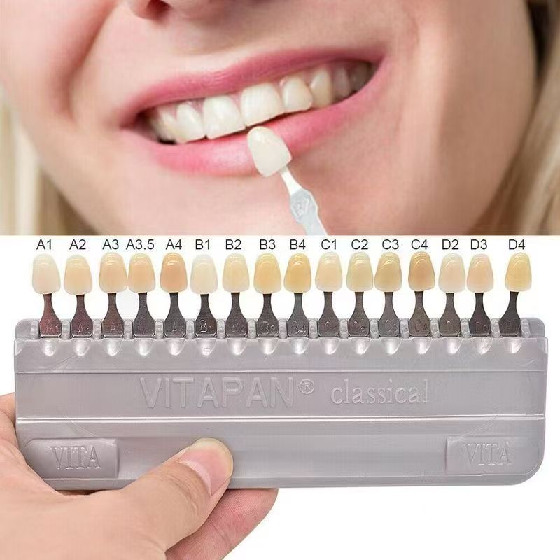 VITA 16 Colors Teeth Shade Gui - Teeth Whitening Shade Guide ulasan dan harga