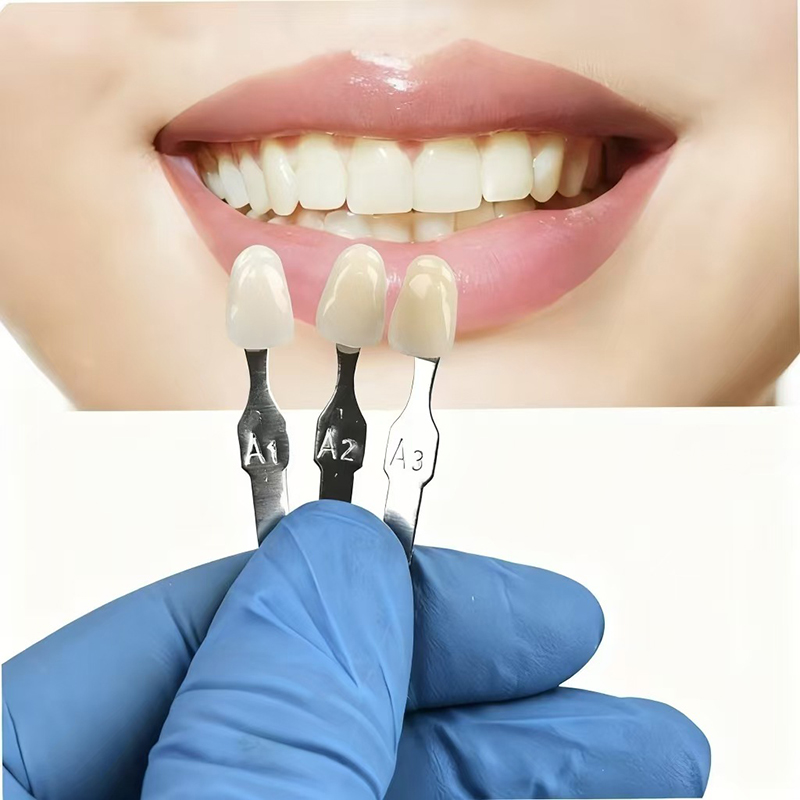VITA 16 Colors Teeth Shade Gui - Teeth Whitening Shade Guide ulasan dan harga