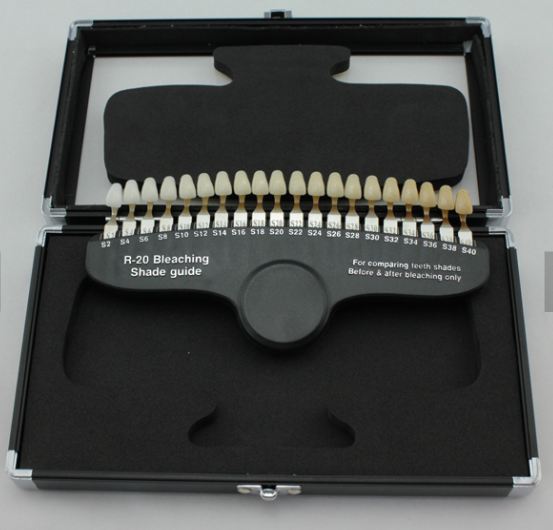 Professional 20 Colors Dental  - Teeth Whitening Shade Guide ulasan dan harga