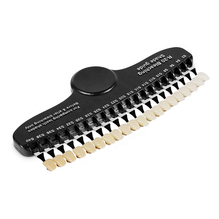 Professional 20 Colors Dental  - Teeth Whitening Shade Guide ulasan dan harga